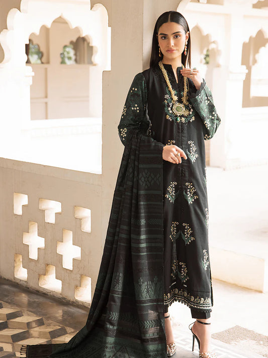 Premium Shawl Winter Collection 24 by RAJBARI – 1A