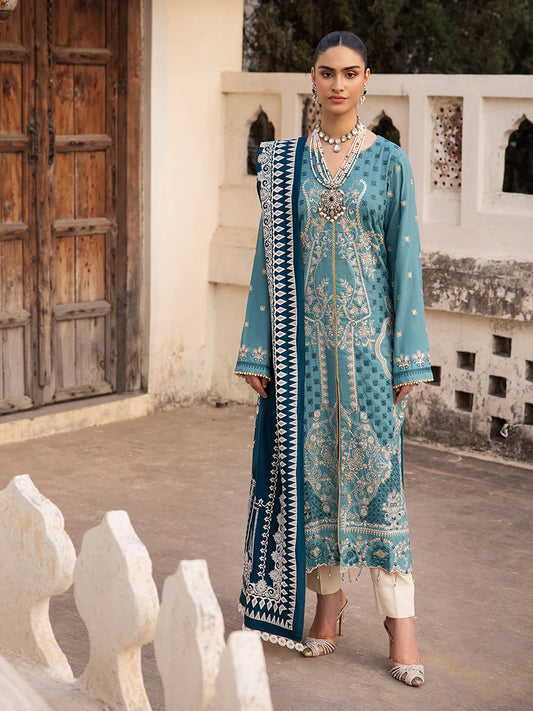 Premium Shawl Winter Collection 24 by RAJBARI – 6B