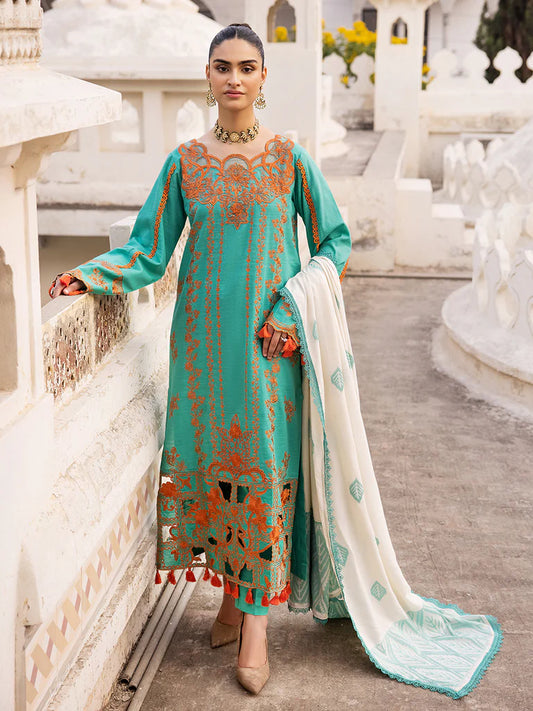 Premium Shawl Winter Collection 24 by RAJBARI – 5B