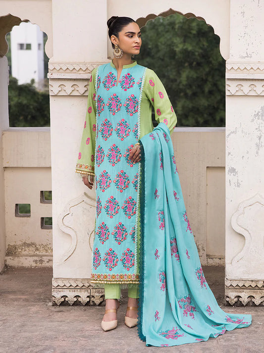 Premium Shawl Winter Collection 24 by RAJBARI – 3B